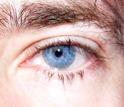 Profil de Edward, 55 ans, Échangiste à Asselborn