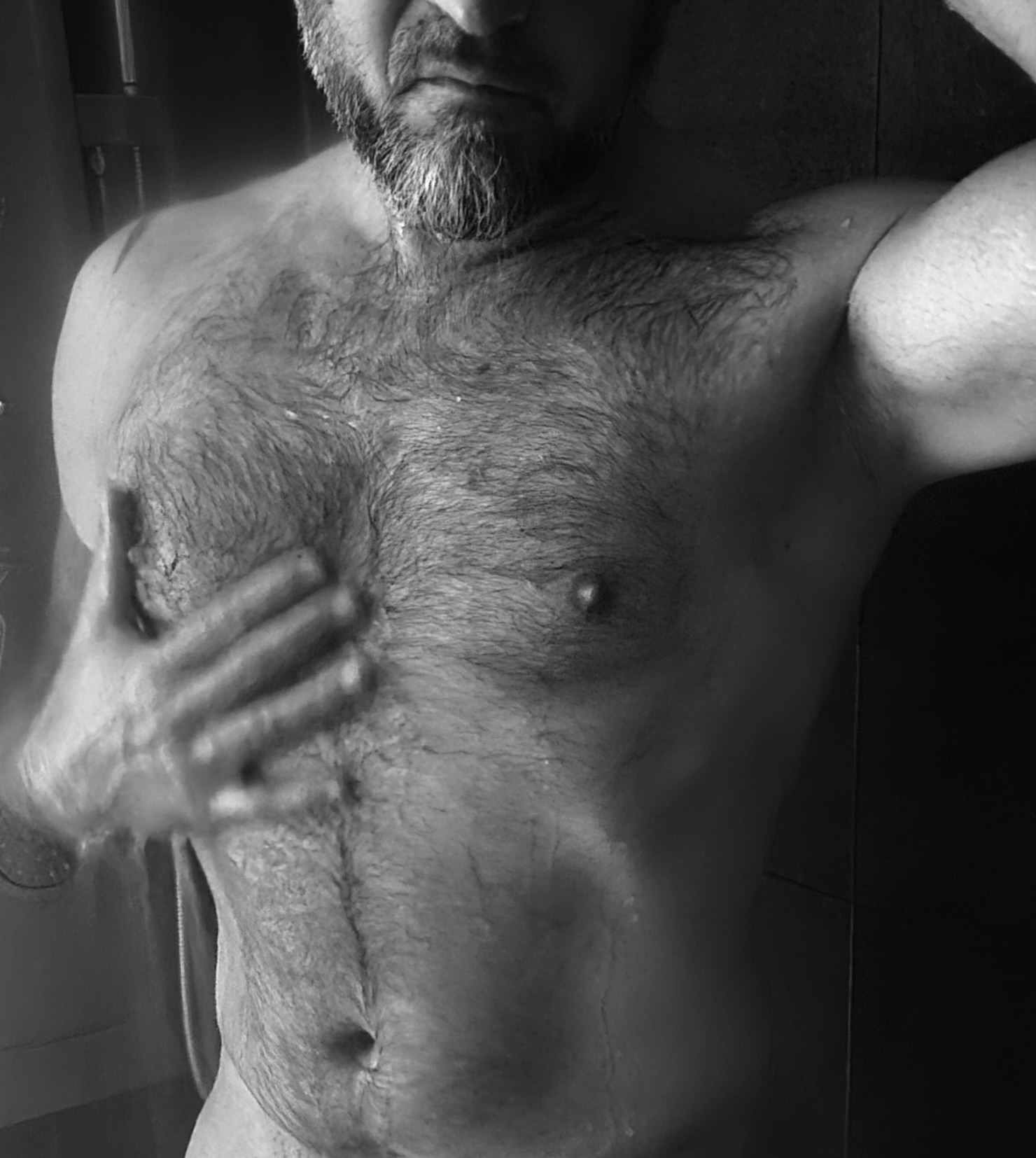 Profil de Navid, 47 ans, Échangiste à Hoffelt