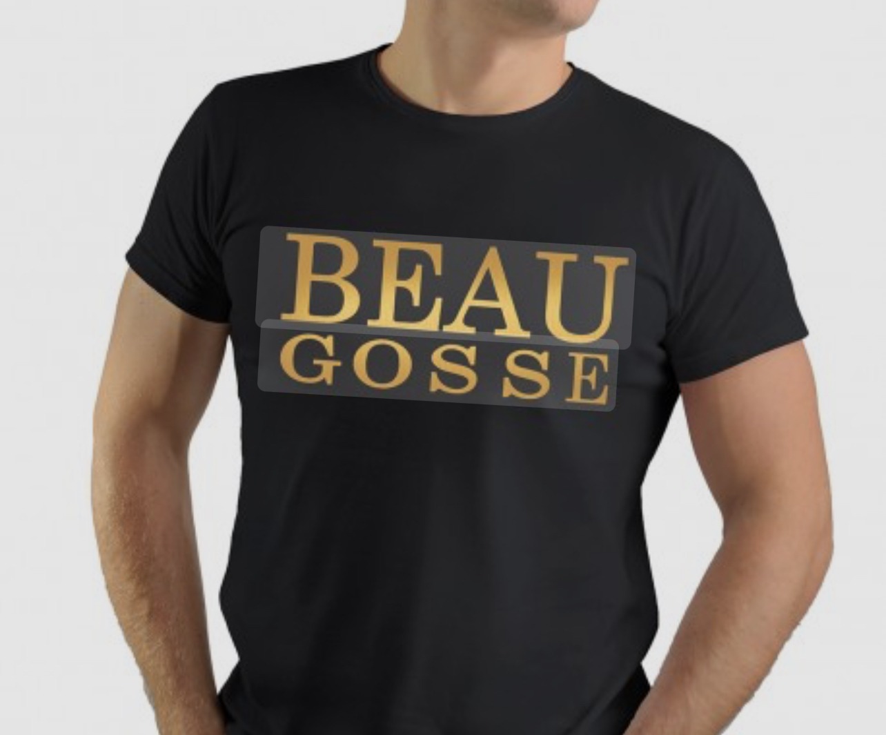 Profil de Wahel, 26 ans, Échangiste à Troine